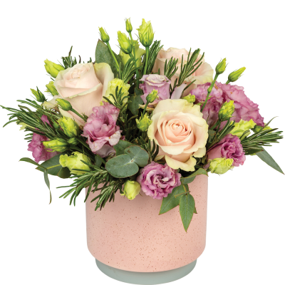 Ballet Posy - Pretty soft pink flower arrangement in pink ceramic container. Easy to care for, simply water and enjoy (container may vary)