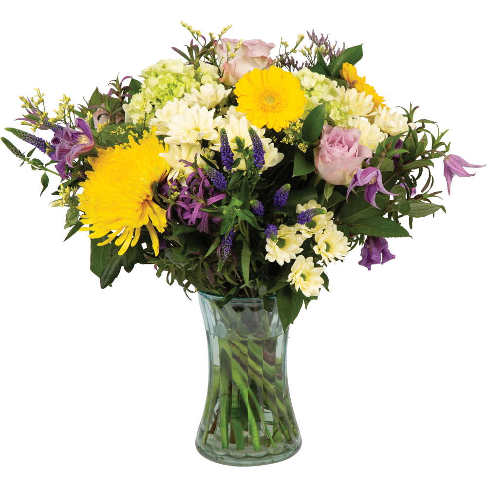 Summer Days Product Image