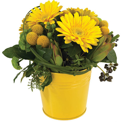 Sunshine Yellow - Vibrant yellow and green arrangement in zinc tin.